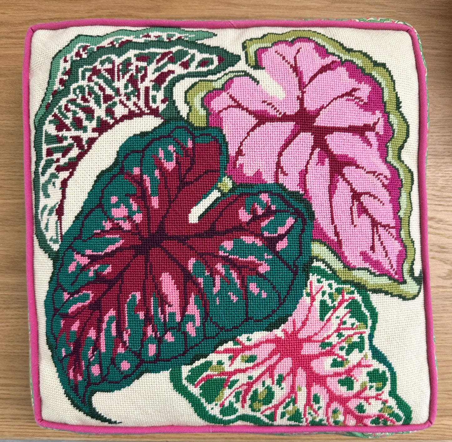 Caladium
