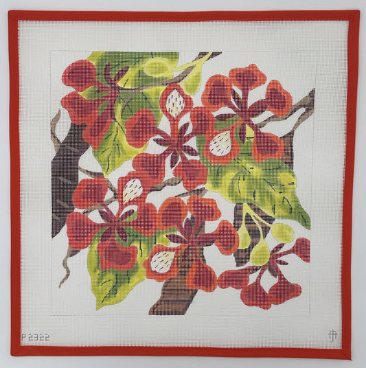Royal Poinciana