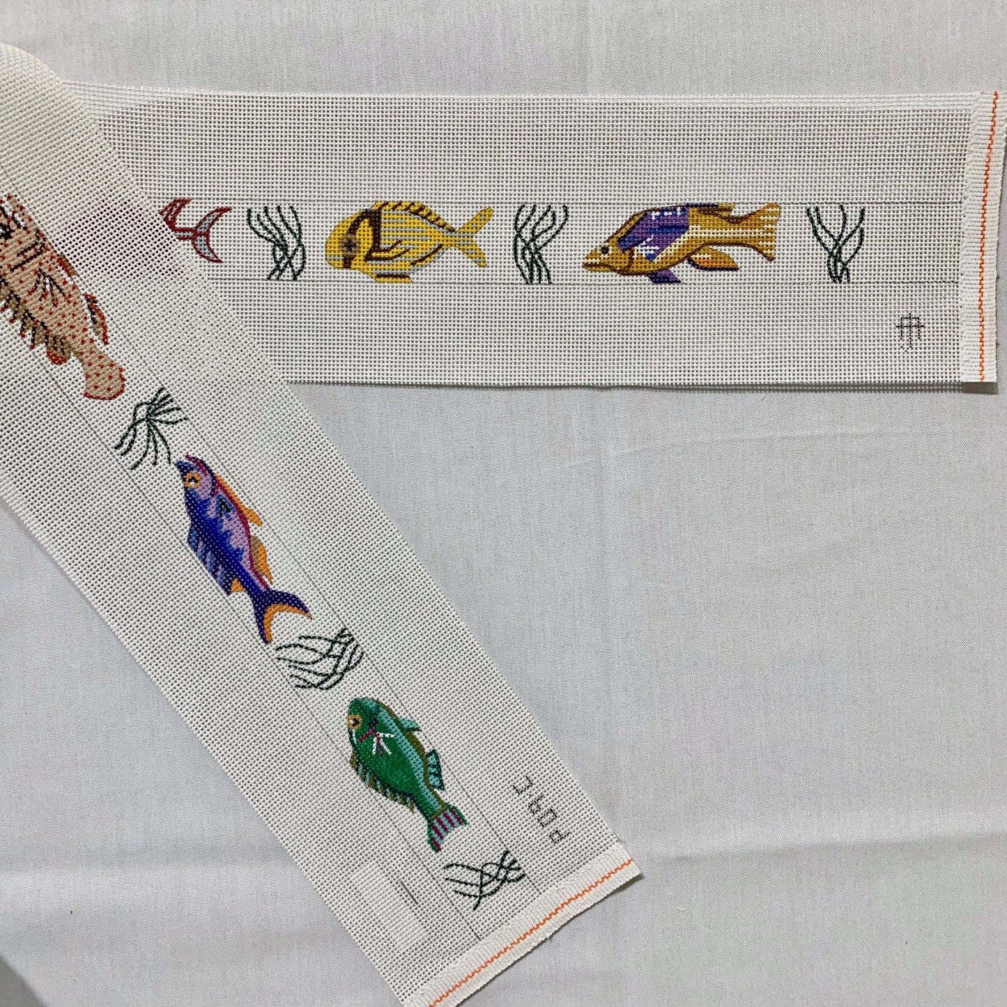 Tropical Fish Belt