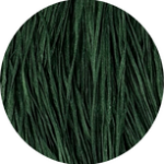 Straw Silk 0427 Pickleweed