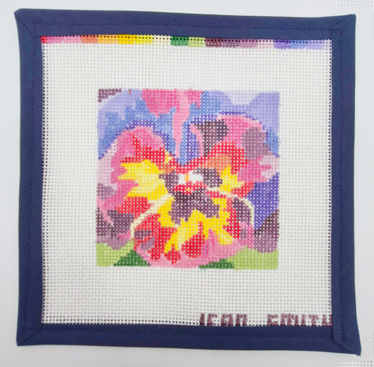 Full Bloom Pansy 201F
