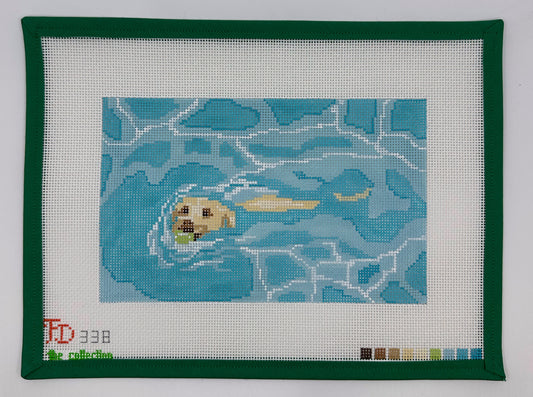Yellow Labrador Swimming