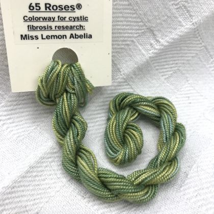 Treenway Shinju - Miss Lemon Abelia - 65 Roses