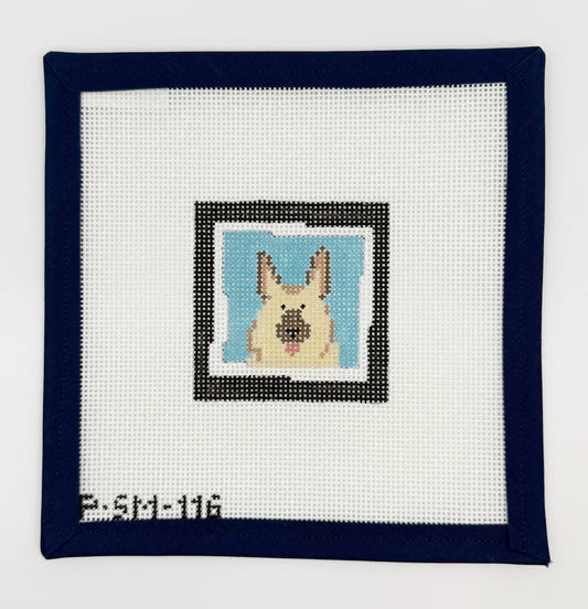 Dog with Blue Background