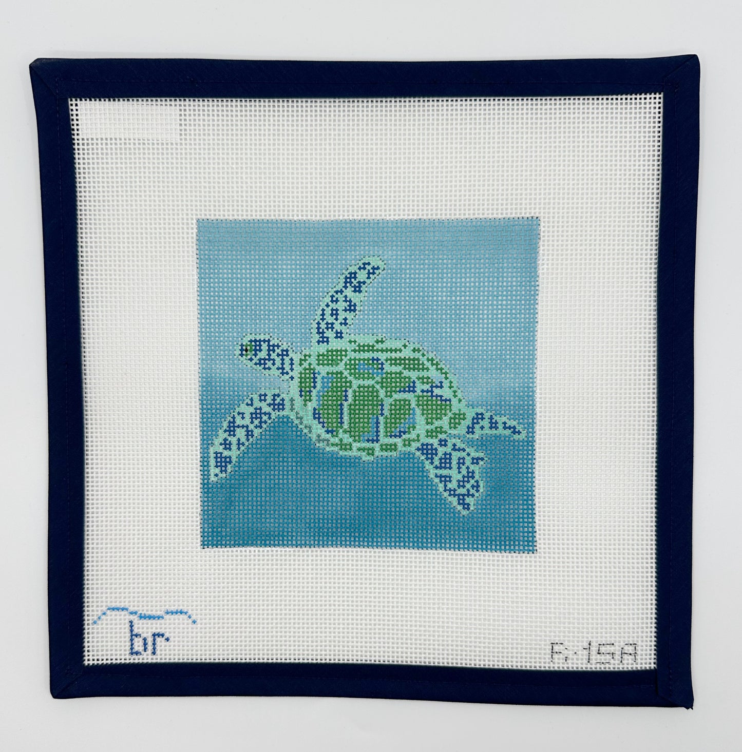 Sea Turtle Square