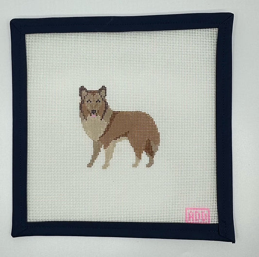 Collie