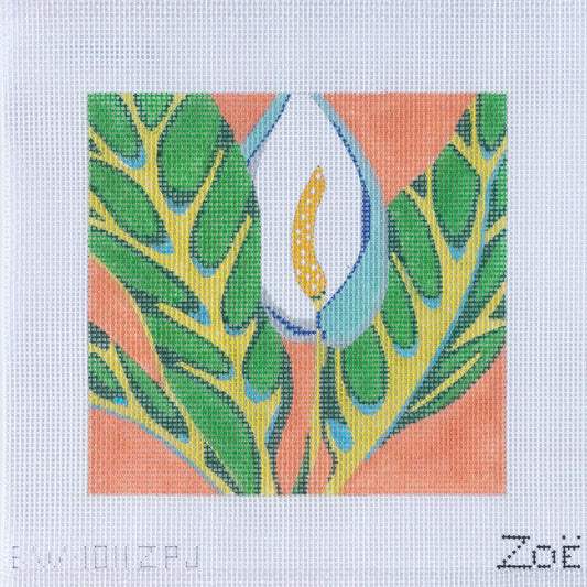 Carrie Out Kits - Peace Lilly