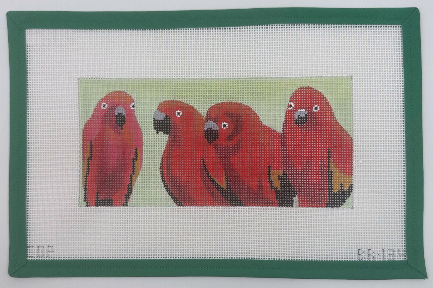 BR134 Red Parrots