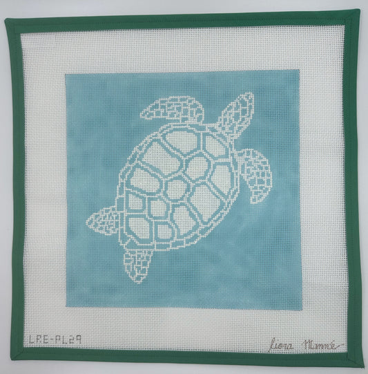 Turtle on Aqua