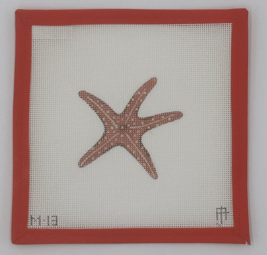 Starfish Mini