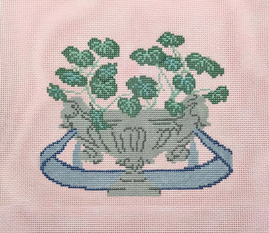 Pelargoniums - TRUNK SHOW - IS-6